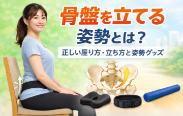 骨盤を立てる正しい姿勢と座り方を解説したイメージ画像