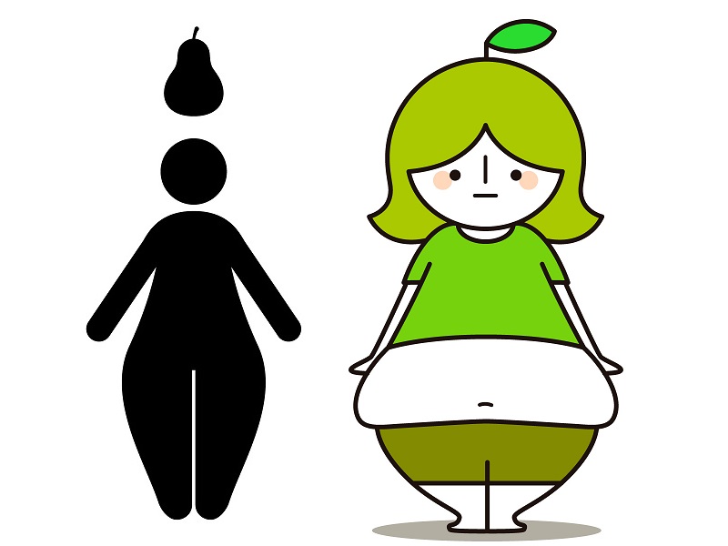 洋梨型肥満遺伝子