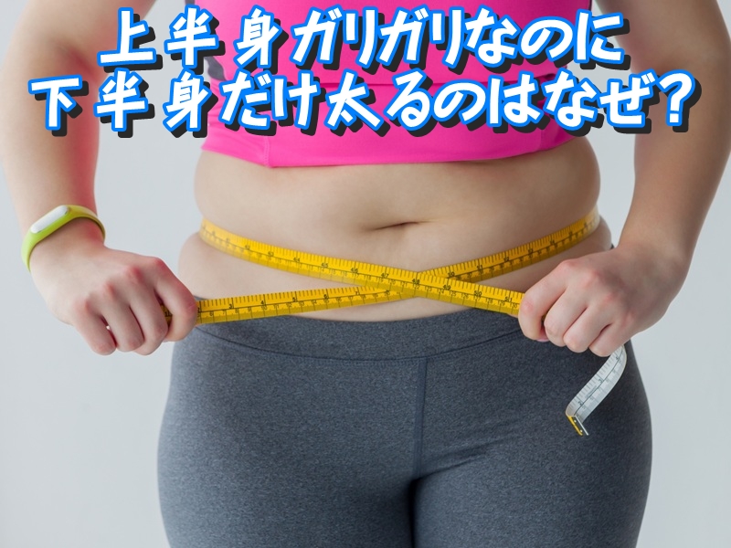 上半身ガリガリなのに下半身だけ太るのはなぜ?